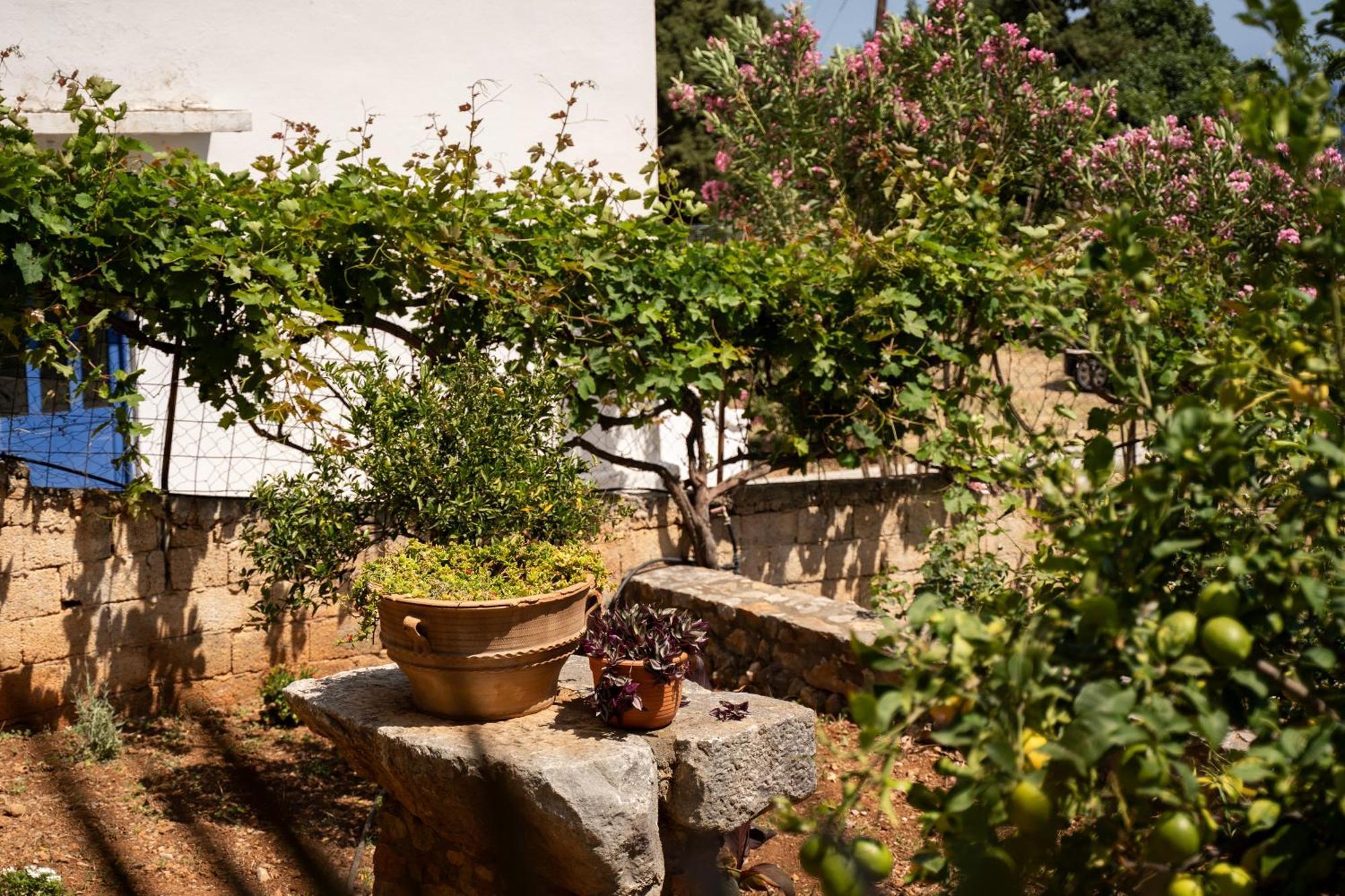 Artemisa House Agia Ruméli Exterior foto